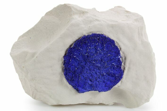 Vibrant Blue Azurite Sun on Siltstone - Australia #361234